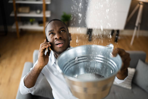 Best Water damage contractors near me  in Glens Falls North, NY