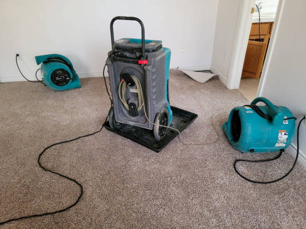 Best Mold removal after water damage  in Glens Falls North, NY
